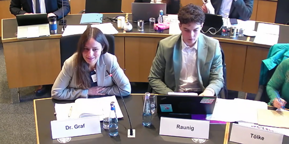 Screenshot von Elisabeth Graf im Landtag beim Kommitee.