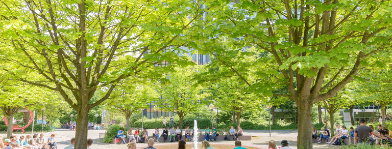 Students sitting by fountain on North Campus in summer.