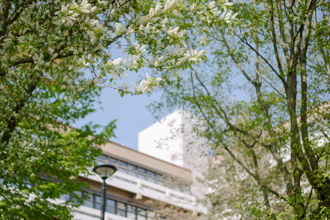 The TU building surrounded by flowering trees.