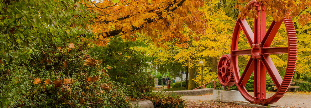 Zahnrad von Bäumen in herbstlichen Farben umgeben.