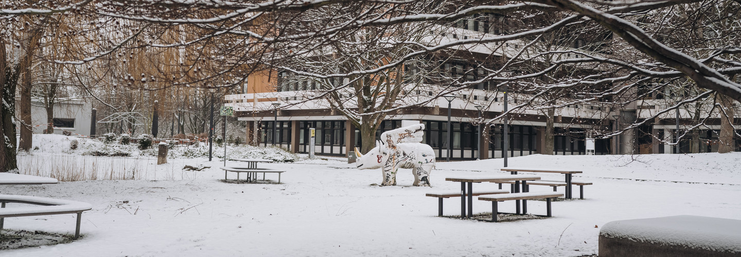 Figur eines geflügelten Nashorns auf der verschneiten Wiese vor dem EF 50-Gebäude auf dem Campus Nord