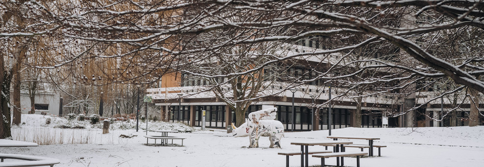 Figur eines geflügelten Nashorns auf der verschneiten Wiese vor dem EF 50-Gebäude auf dem Campus Nord.
